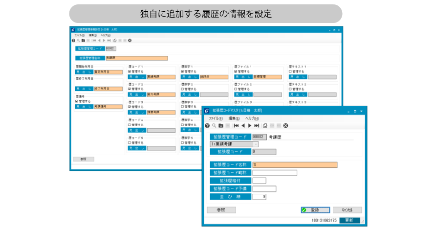 拡張歴管理・任意管理項目